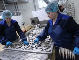В России выросло число социально-трудовых конфликтов на предприятиях