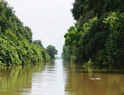В Техасе обнаружили тела четырех солдат, погибших в результате наводнения