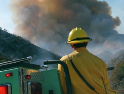 В Калифорнии эвакуировали около пяти тысяч жителей из-за лесного пожара