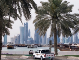 Индия и Катар договорились усилить взаимодействие в борьбе с терроризмом