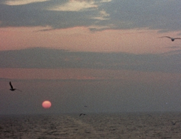 Потомки капитана затонувшей в Балтике подлодки просят помочь ее поднять