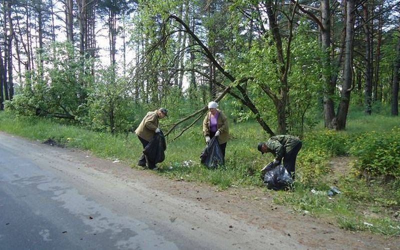 В Бежицком районе Брянска убрали свалку, которую устроили дачники