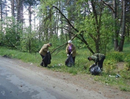 В Бежицком районе Брянска убрали свалку, которую устроили дачники