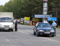 Брянские и&nbsp;гомельские автоинспекторы пресекли контрабанду красной рыбы