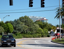 В США в половине округов Флориды ввели режим ЧС из-за циклона "Колин"