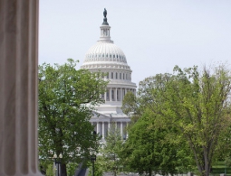 США вернули Индии предметы искусства на сумму около $100 миллионов