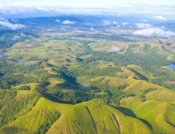 В Папуа-Новой Гвинее полиция расстреляла четырех студентов-демонстрантов