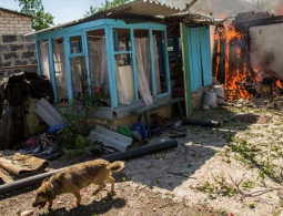 МИД ДНР: нарушения прав человека на Украине препятствуют "Минску-2"