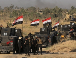 Италия выделила миллион евро на оказание помощи жителям города Эль-Фаллуджа