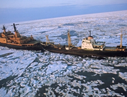 Гонки за Арктику пока не будет: страны региона не спешат строить ледоколы