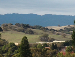 В США скончался один из первых инвесторов Кремниевой долины