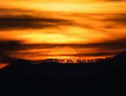 Небольшой самолет упал на жилой дом в Калифорнии