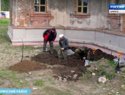 В Брянском районе обнаружили останки солдат вермахта