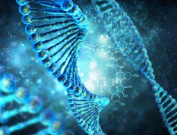 Человеческий геном: от чтения к написанию