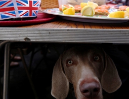 Празднование юбилея королевы Британии завершилось обедом для 10 тыс человек