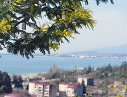 В Сухумской бухте прошли учения России и Абхазии по спасению людей на море