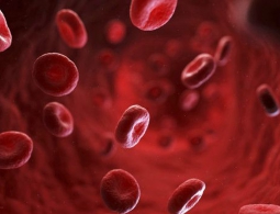 Невероятные факты о человеческой крови