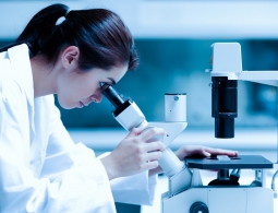 Ученые впервые научились диагностировать рак по анализу мочи