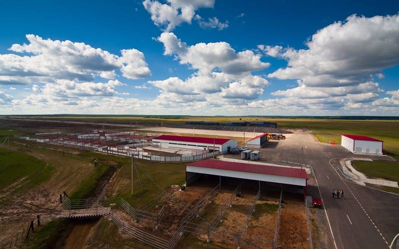 Мираторг инвестировал более 620 миллионов в строительство ферм в Брянской, Орловской, Калужской областях