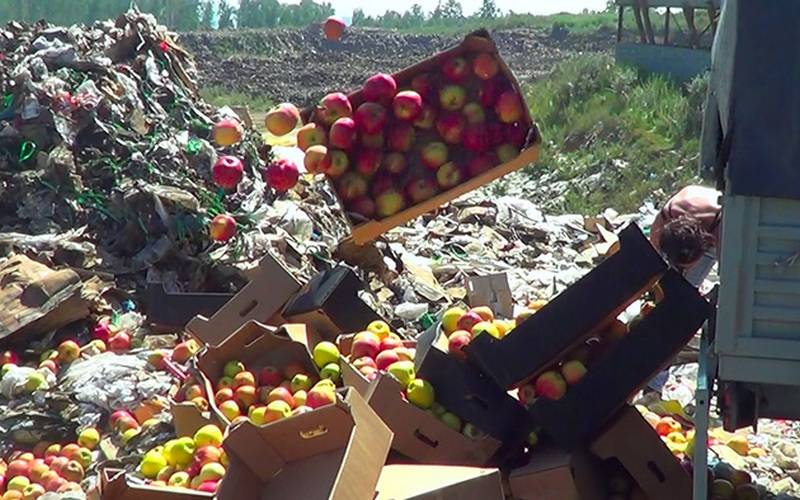 В Брянской области уничтожили полтонны яблок неизвестного происхождения