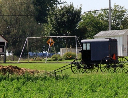 Пара амишей в США подарила свою дочь в качестве благодарности за помощь