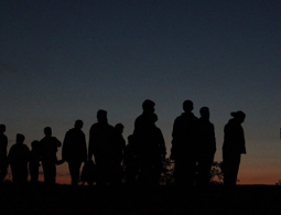 Австрия предоставит помощь Венгрии для защиты ее границ от нелегалов