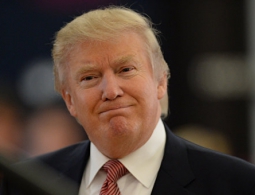 Трамп заявил, что готов будет пригласить Путина в Вашингтон