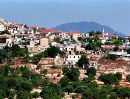 На Кипре задержали двух  возможных виновников крупного пожара на острове