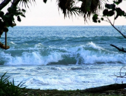 У побережья Индонезии произошло землетрясение магнитудой 5,2