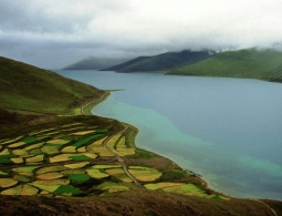 В Тибете восемь человек завалило оползнем