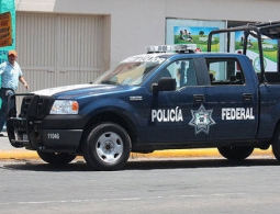 В Мексике нашли тела семи обезглавленных лесорубов