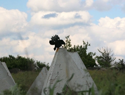 В ЛНР заявили о шести обстрелах со стороны силовиков за сутки