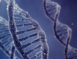 От живых компьютеров к нанороботам: где еще можно применить ДНК?