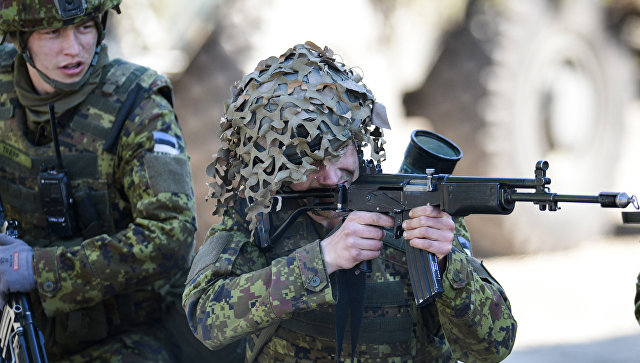 В Эстонии прошла заключительная часть учений НАТО Saber Strike