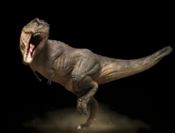 10 распространенных заблуждений о динозаврах