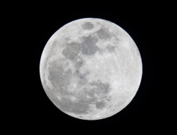 Роскосмос проектирует лунную базу