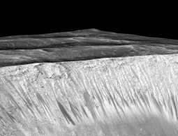 Марсианские соли — смесь зла и добра