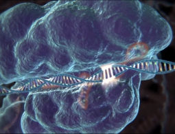 В США одобрили генетические эксперименты на человеке