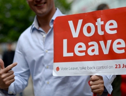 Сторонники Brexit лидируют по итогам голосования более чем в 30 округах