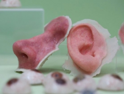 3D-печать органов прошла испытания в условиях микрогравитации