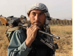 СМИ: в Афганистане военные за сутки ликвидировали более 40 боевиков