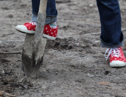 Почему дачники снова увлеклись огородами