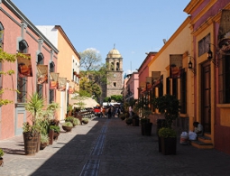 ВВС Мексики наладят воздушный мост для снабжения штата Оахака