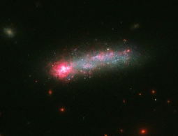 "Хаббл" поймал в объектив редкого космического "головастика"