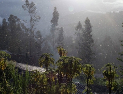 Минобороны Перу подозревает журналистов в раскрытии гостайны