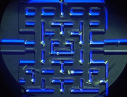 #видео | Игра Pac-Man с простейшими организмами в качестве персонажей