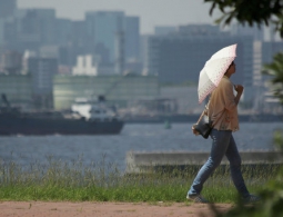 В Японии от теплового удара погибли шестеро