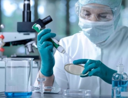 Учёные из Томска разработали ненаркотическое обезболивающее средство