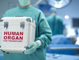 Пользователи iOS смогут стать донорами органов