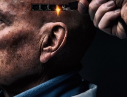 Можно ли загрузить мозг в компьютер — и стоит ли пытаться?